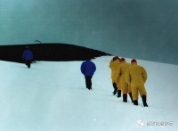 关于企鹅拉屎这件事，你可能想不到竟然这么有用