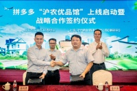 拼多多与上海政府合作：推动优质农产品上行新电商