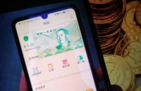 没智能手机就不能用数字货币？专家：可以有其他载体