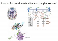 因果发现：如何让算法成为复杂系统中的“福尔摩斯”？