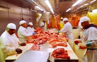 【虎嗅早报】阿里给小鹏派的新董事，只待了10天；普京指示下周开始接种新冠疫苗