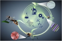 Nature：AI的瓶颈突破在于「实体人工智能（PAI）」