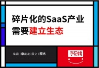 中国SaaS产业的拼图游戏