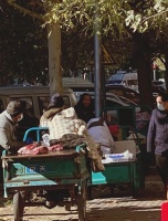 互联网变局之年：为什么不能抢卖菜生意，而是要仰望星空