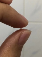 150年后，物理学家终于解决了这个沙雕问题