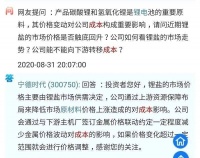 关于宁德时代的6个问题：原材料、产能、估值以及风险