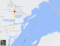 在巴西，人们为了一部中国手机穿越国境