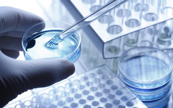 图片来源:视觉中国