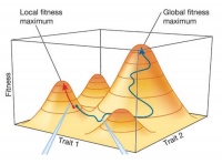 达尔文进化论2.0：人类能靠生态链操控大自然？