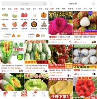 「拼多多」的农业创业记