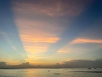 非洲创业笔记：在肯尼亚卖菜这几个月