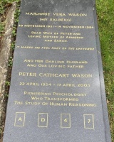 AI是理性的，人类是非理性的，果真如此吗？