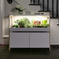 国外创投新闻 | 美国初创公司Rise Gardens获900万美元A轮融资，主打智能迷你室内水培农场