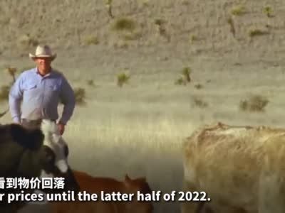 #限电下的苹果链上市公司#