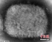 病毒炒热“猴痘概念股”，多家上市公司最新回应