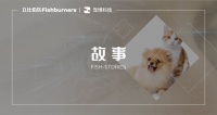FishStories创业故事｜宠博科技：从大数据切入宠物经济