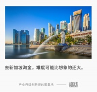 新加坡不是“创业圣地”