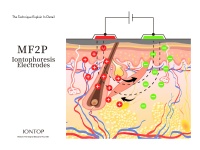 早期项目｜以医疗背景切入科技护肤赛道，「肤泰科技」想实现理想肌肤的智能化定制