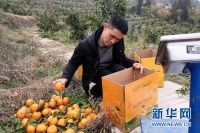 自强不息！残疾小伙搭乘“电商快车”实现创业梦