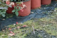 种地吧里面的少年们这一次竟然发展了文旅产业……