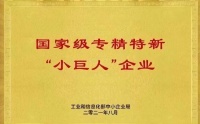 专精特新企业没有退路，只有独角兽才是归宿！