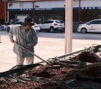 逃离职场，3万人自愿降薪去干体力活