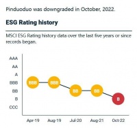 拼多多因“恶意软件”被谷歌下架，是意外吗？