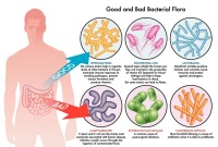 中国益生菌比国外差在哪里？