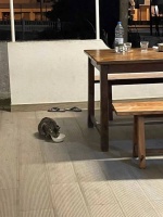 我在葡萄牙冲浪班的七天七夜