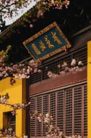 中国哪间寺庙的禅茶最好喝？