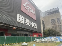 谁是国美的救世主？