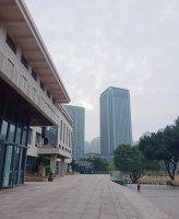 假装上班的年轻人，挤满图书馆