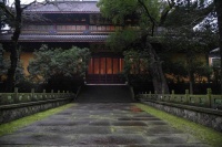 逃离职场后，我当寺庙义工来自救