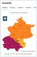 这个春天，他们困在过敏里