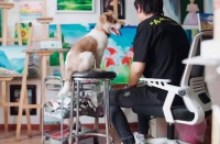 11年考研，小镇青年八战清华