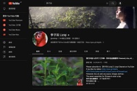 停更近两年，李子柒的YouTube频道还能月入几十万？