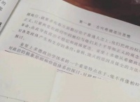 “大学毕业后，全班都转行了”