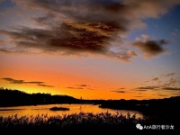 年收不到平均数，但我实现了财务自由