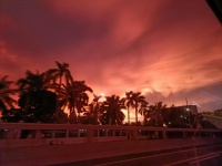 小杨哥、老罗都在布局的东南亚MCN，真赚钱吗？