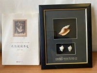 告别天涯社区的，是怎样的一个时代一群人