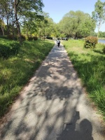 不去淄博凑热闹，北京人在山东聊城过“五一”