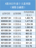 2022年谁最赚钱？九大公司净利超千亿