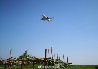 工信部批复！坐飞机能用5G了！