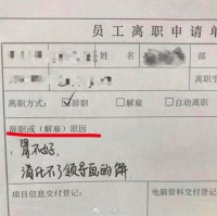 程序员硬核离职原因，网友：HR听了都沉默