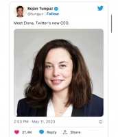 马斯克宣布卸任，Twitter首位女CEO什么来头？
