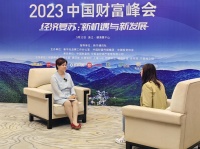 黄秀虹：家电消费市场依旧承压，国美三大措施积极应对