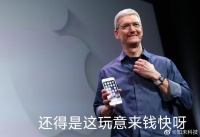 苹果赚走智能机市场超8成利润 自主品牌冲击高端路漫漫