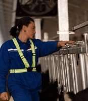 辞去教职，我进大厂养奶牛