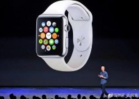 印度超中美，成全球最大智能手表市场，印度厂商超华为、三星