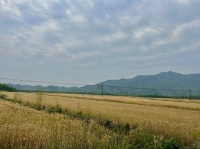 搞农业还有前途吗？